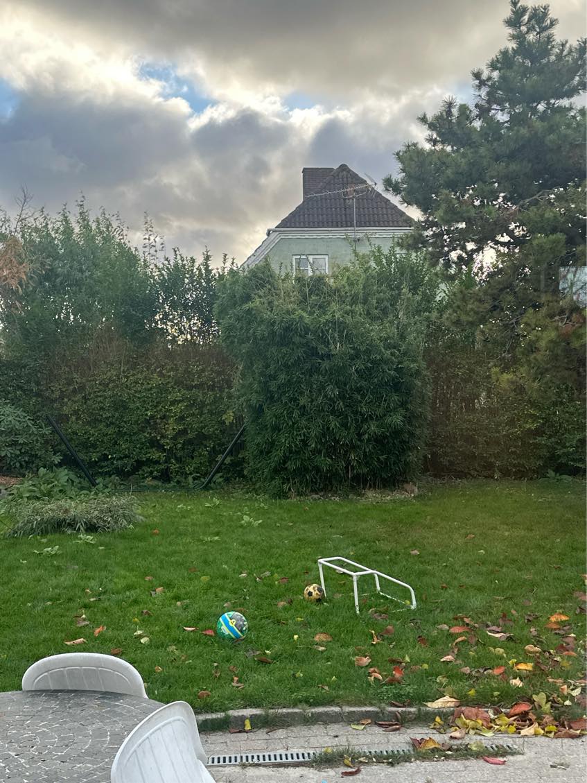 Blandet havearbejde, inklusiv mindre klip af hæk og buske