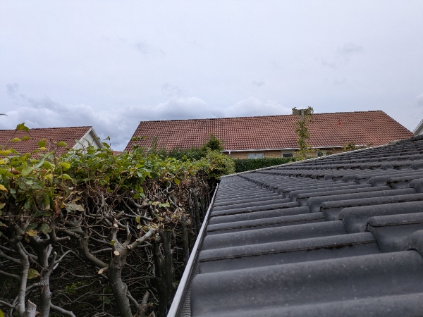 Musesikring af isoleret skur