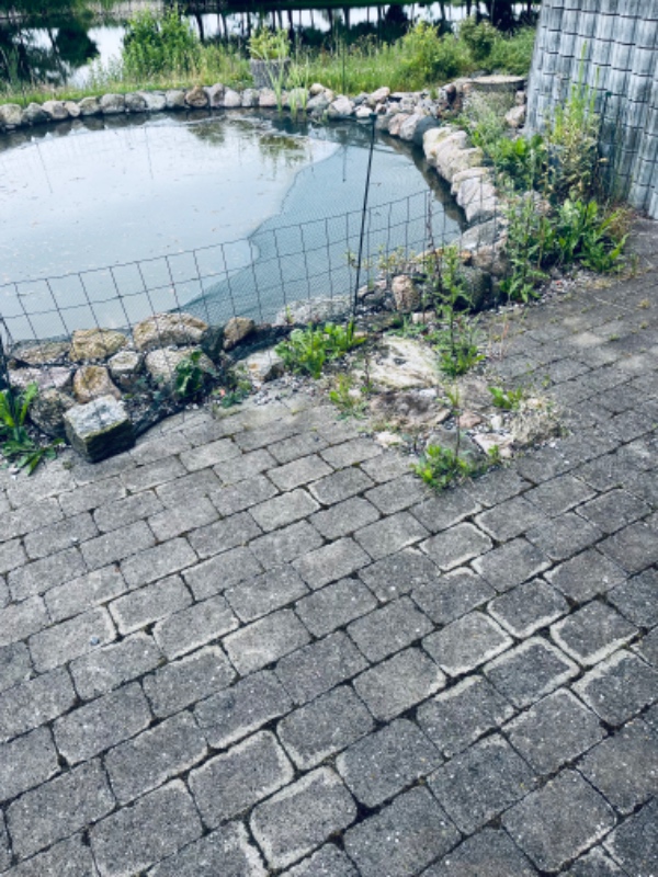 Fjernelse af ukrudt ved fiskedam