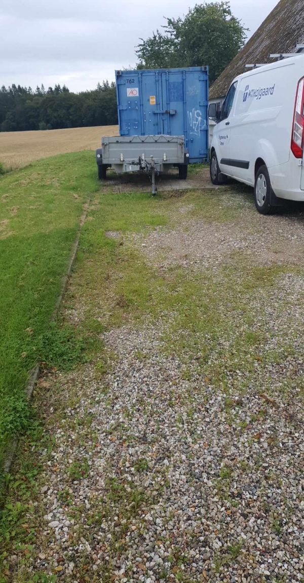 Klippet hæk og buske. Fjerne ukrudt i indkørelsen