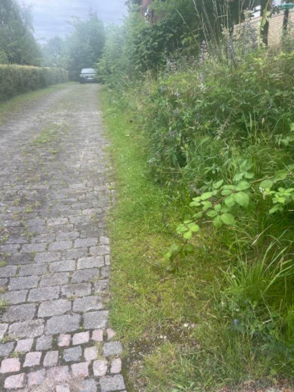 Grave TV kabel 40m dybde 40cm