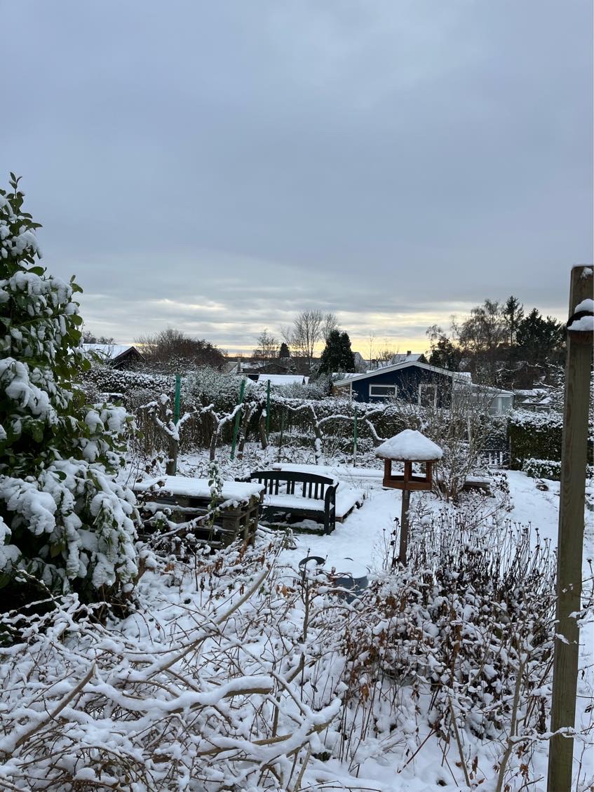 Køre afskårne grene på lossepladsen