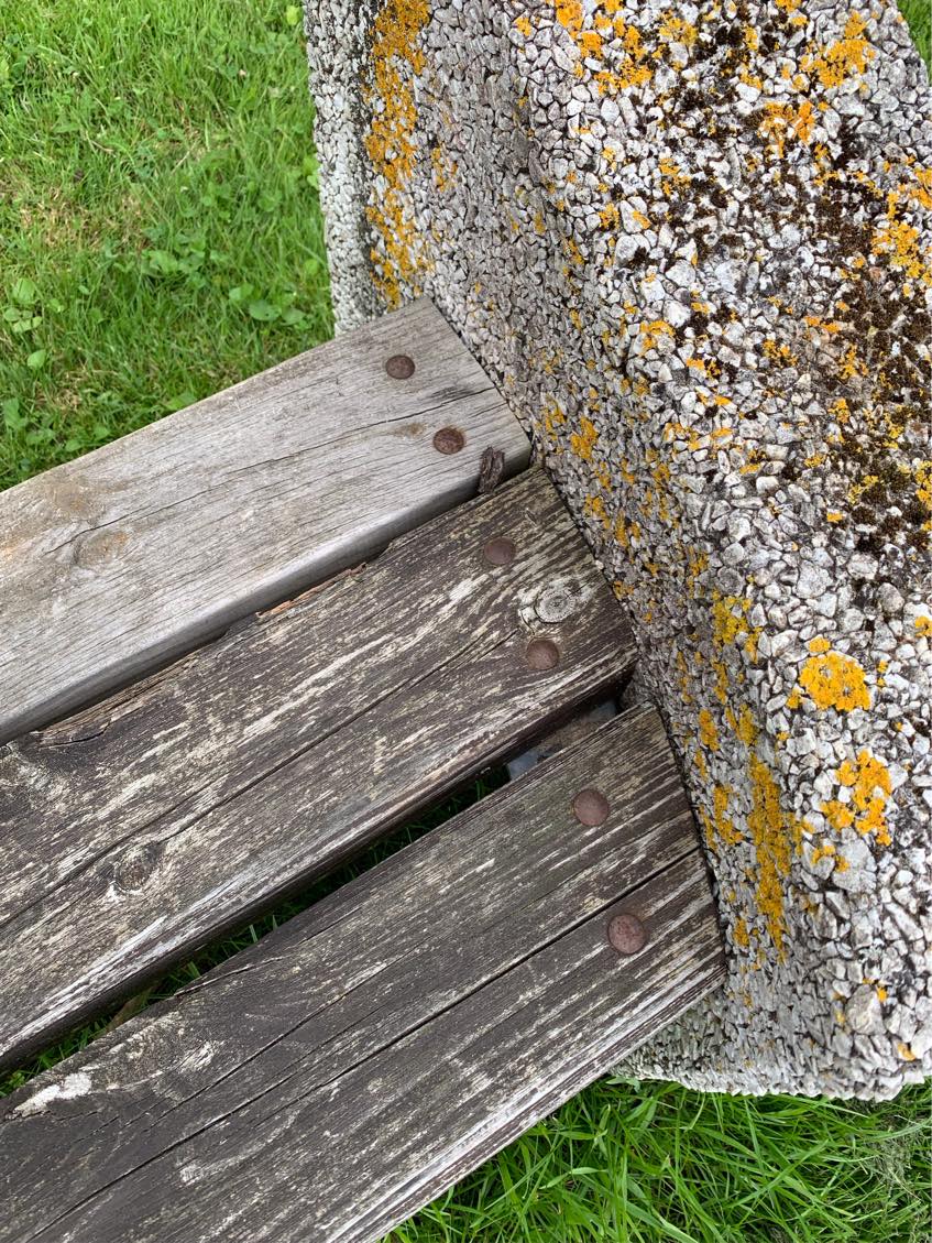 Nyt træ på 5 bænke