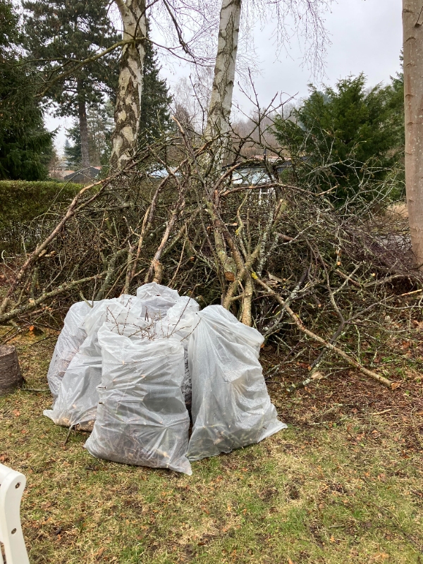 Hentet haveaffald/storskrald