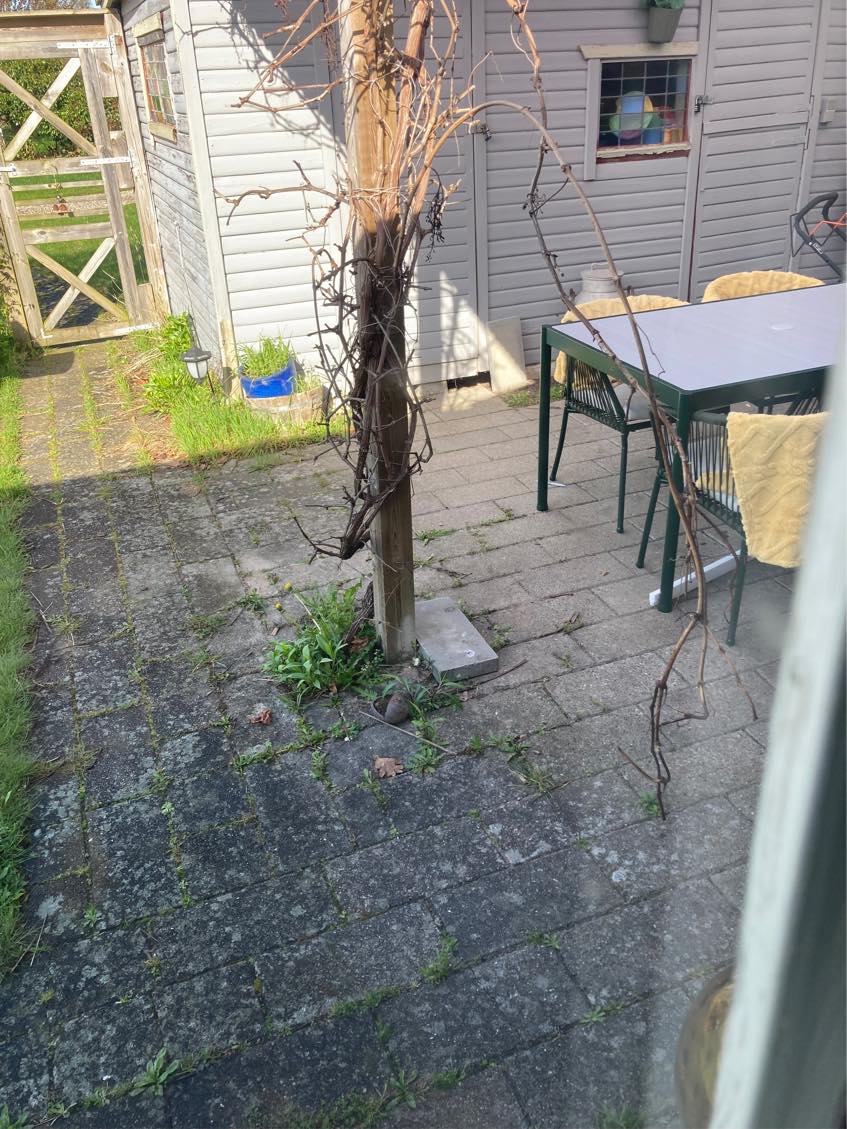 Div små Rep. på kolonihavehus. Indvendigt som udvendigt.