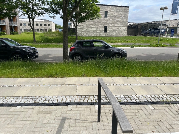 Græsrydning med buskrydder