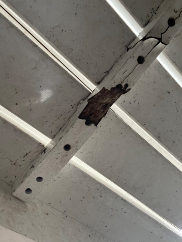 Bænk skal slibes, males og repareres