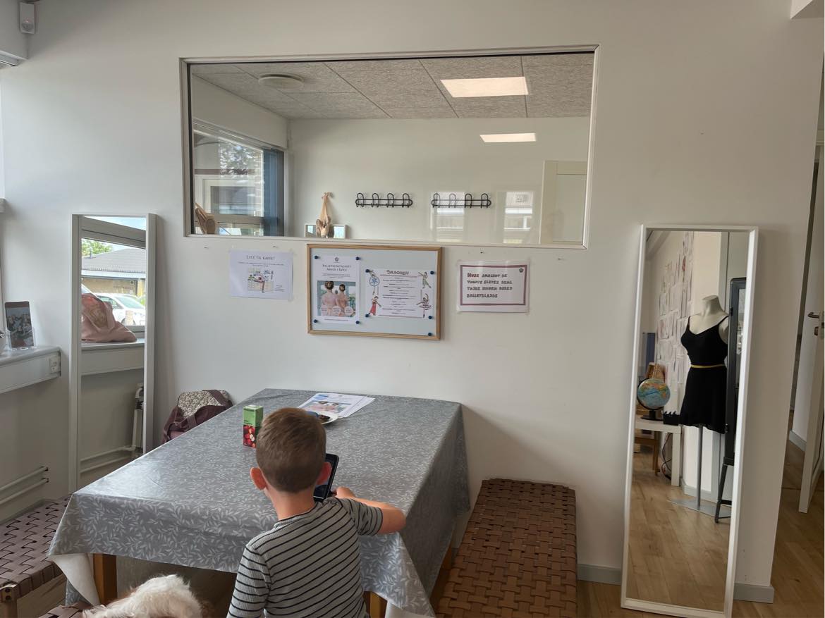 Montage af knager/mindre spejle/balletbarre