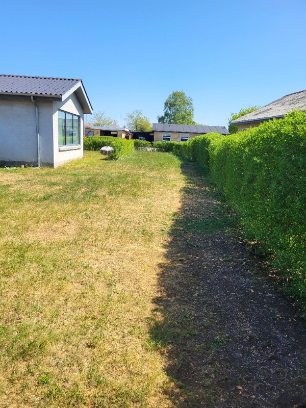 Fjernet mos og ukrudt samt græsgødning og græsklipning