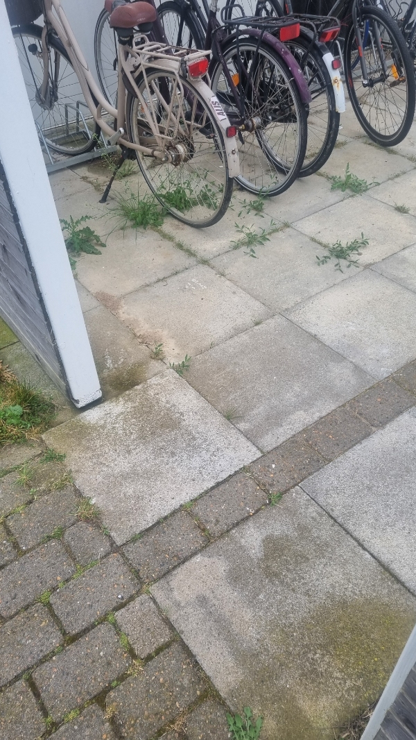 Fjern ukrudt og slå græs