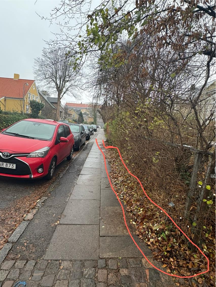 Beskæring af træ / bladeopfejning / genbrugsplads