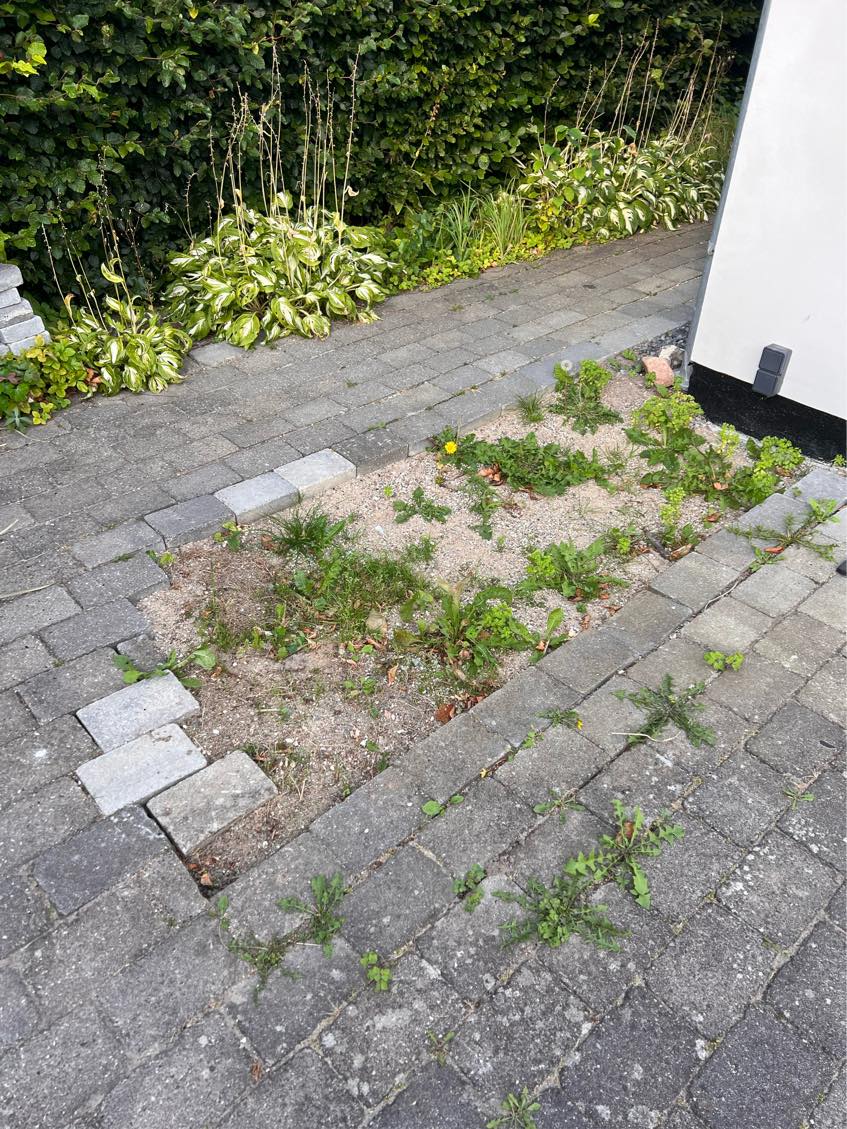 Brolægning og opretning af indkørsel