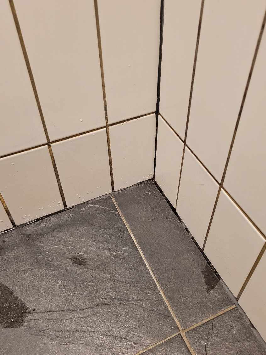 Udskiftning af fuger brusekabine
