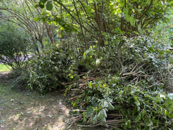 Afhentning af haveaffald Græsted