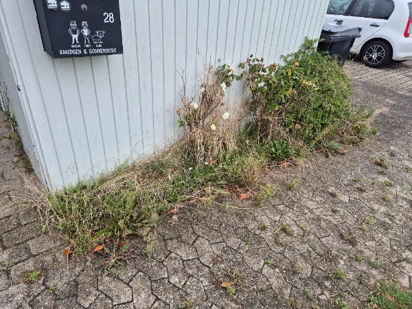 Fjerne ukrudt I bede,på terrassen foran huset og på terrasse bag huset. Ca 25kvm