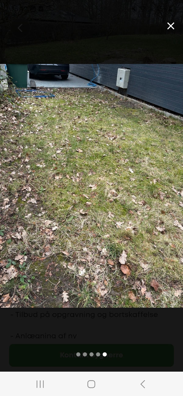 Genetablering af græsplæne