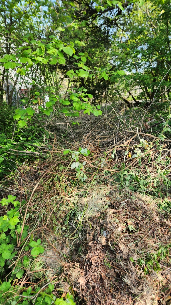 Fjernelse af store grene