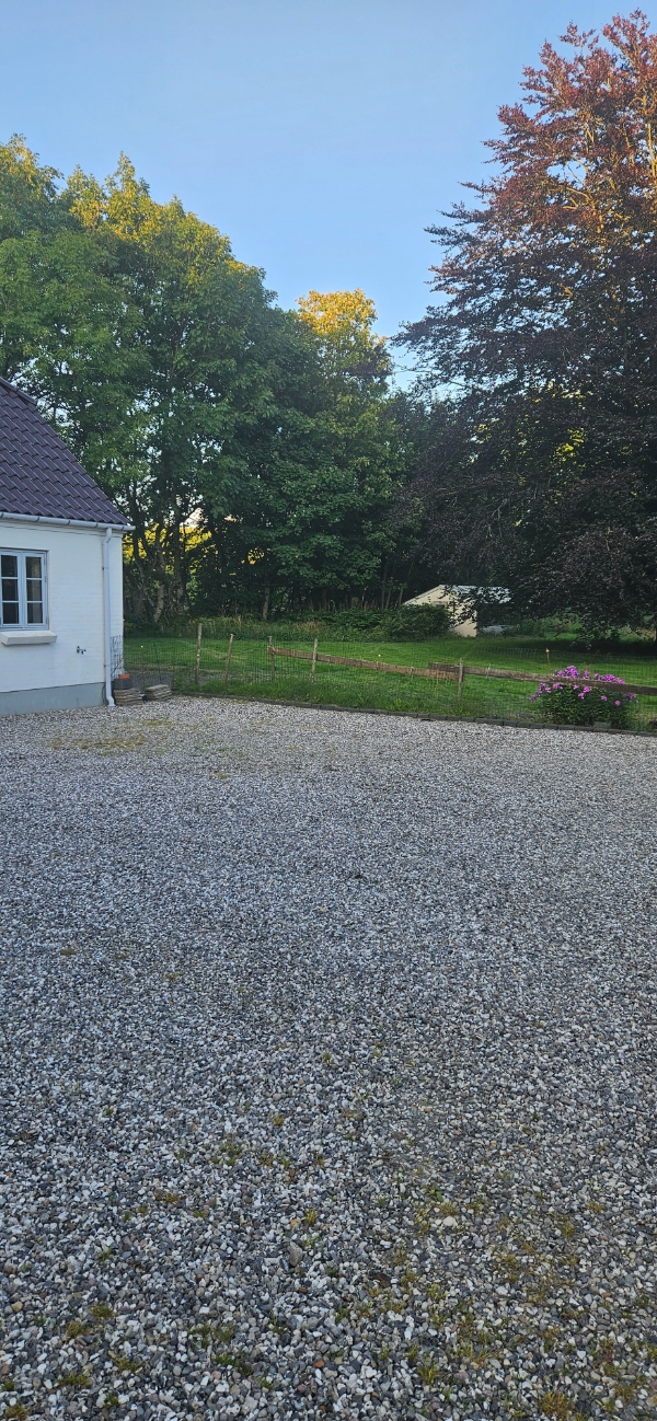 Ryd indkørsel for ukrudt