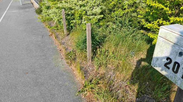 fjerne ukrudt og klippe hæk