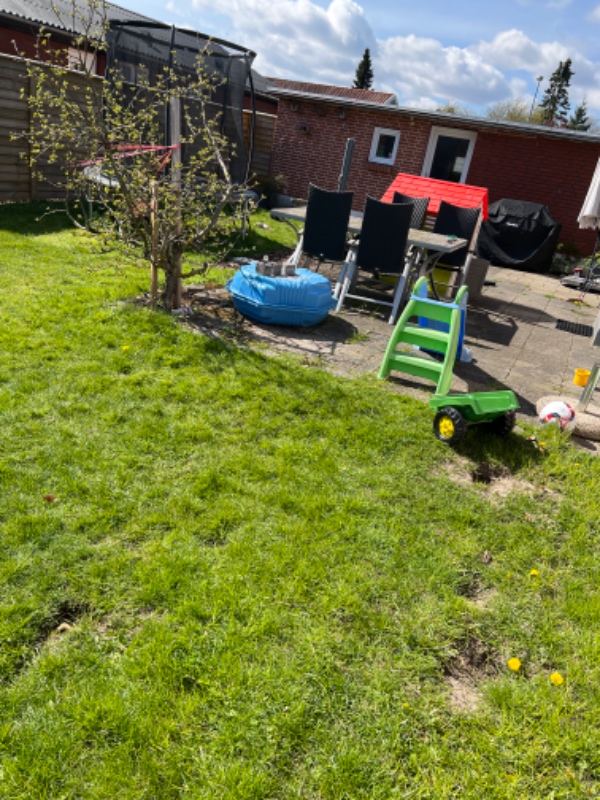 Planering og græssåning, terrasseanlægning