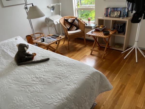 Støvsugning af tre værelser og vask af gulvene i køkken og badeværelse