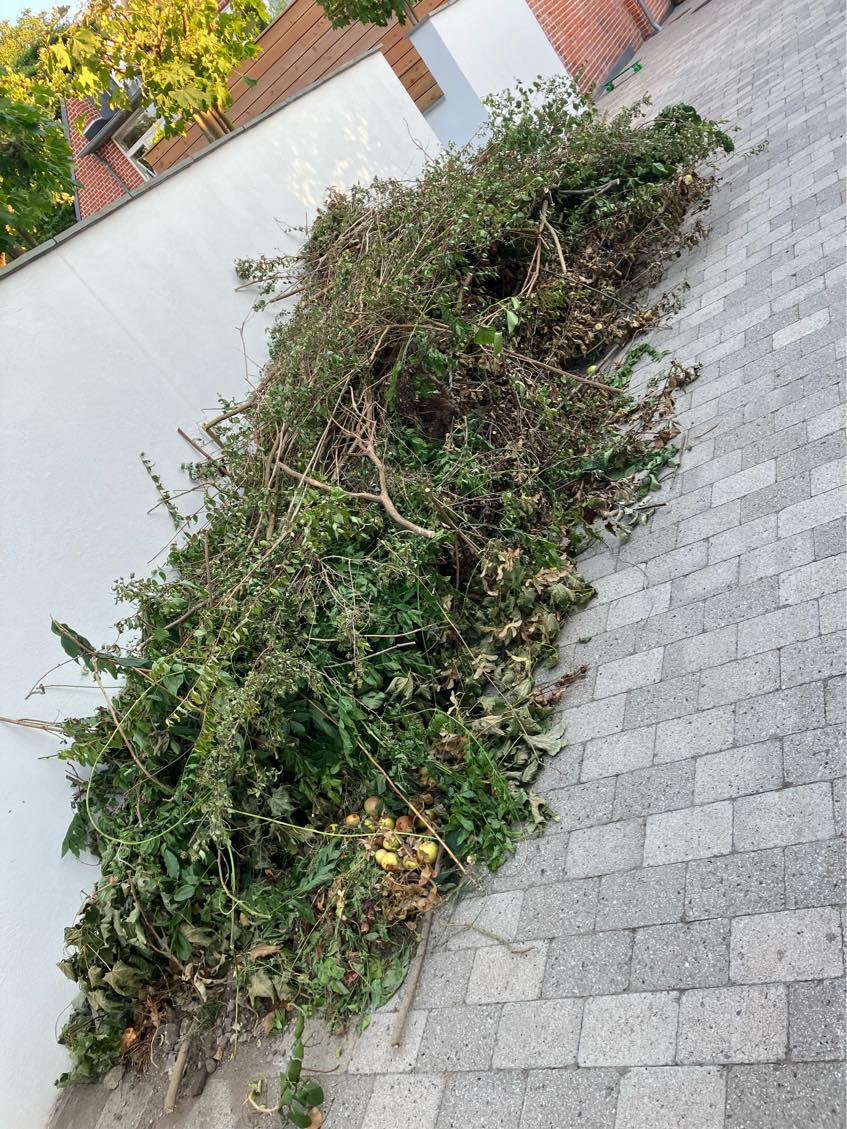 Haveaffald på genbrugspladsen