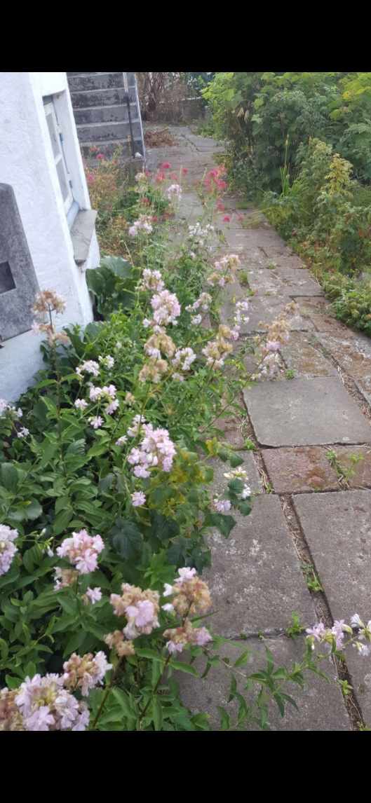 Optagning og lægning af 6kvm fliser udendørs