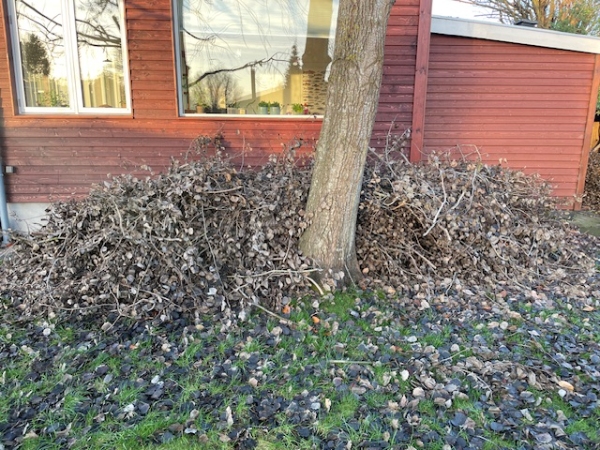 Bortskaffelse af haveaffald