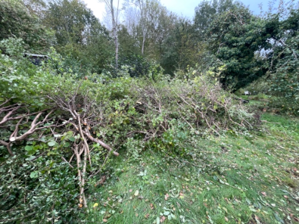 Afhentning af haveaffald fra hækklipning