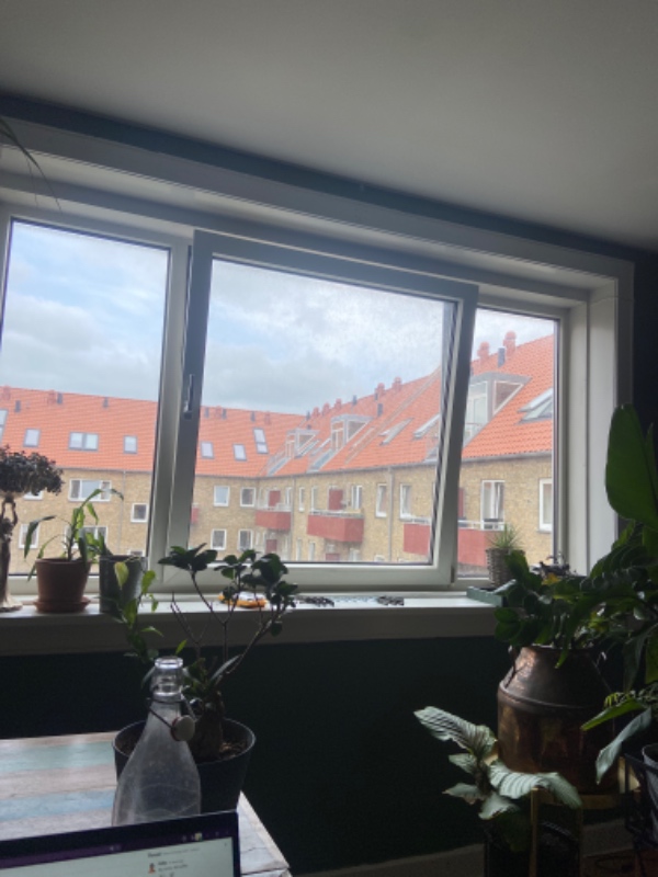 Opsætning af gardinstang