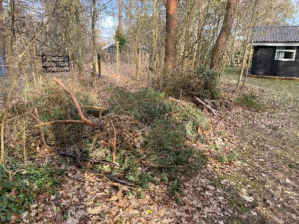 Afhentning af haveaffald