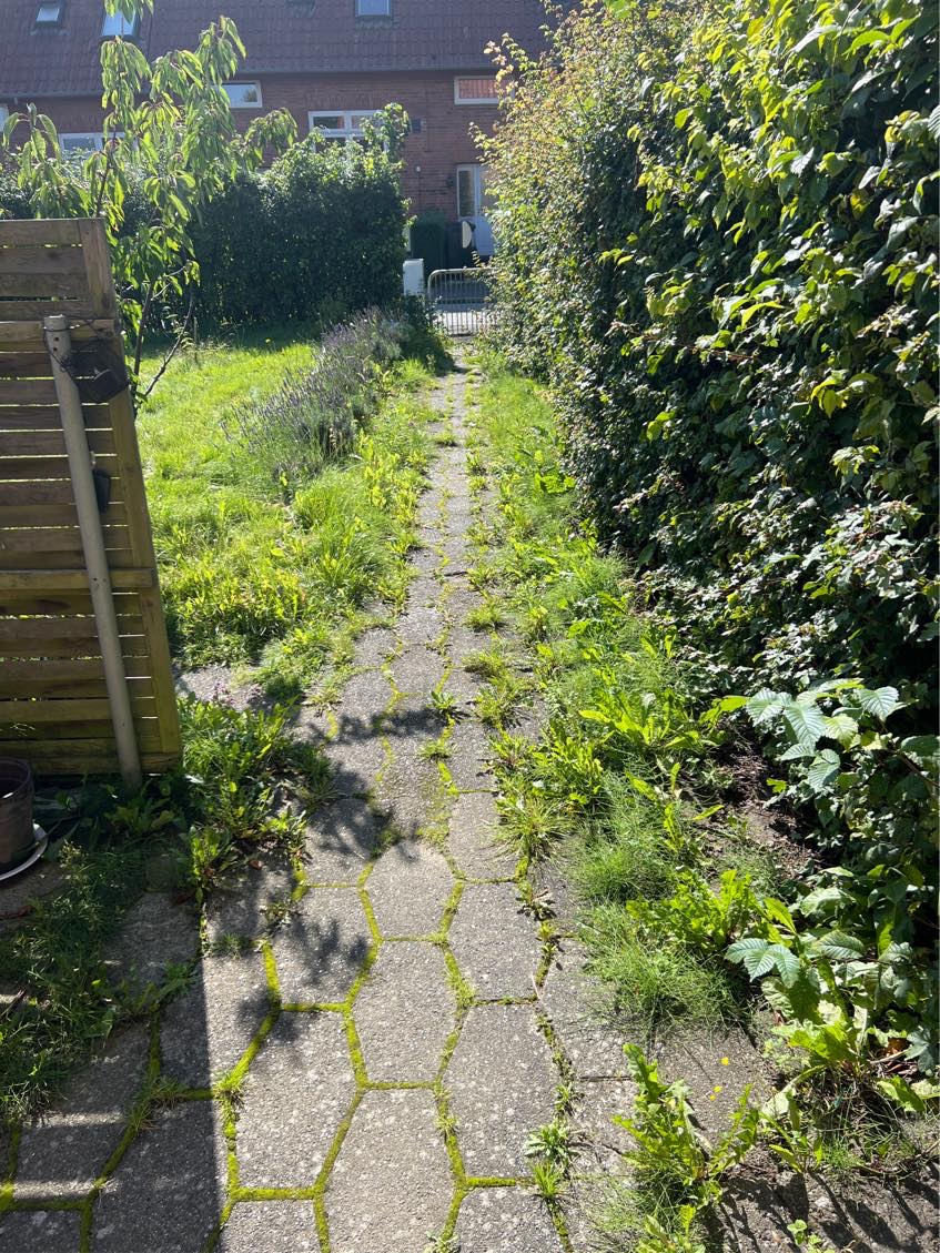 Need help with my garden