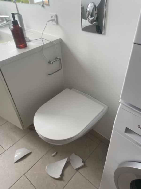 Nyt toilet montering