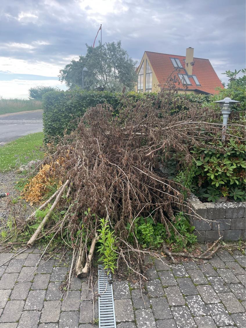 Bortskaffelse af haveaffald