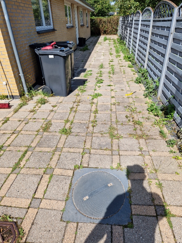 Fjerne ukrudt og klippe hæk