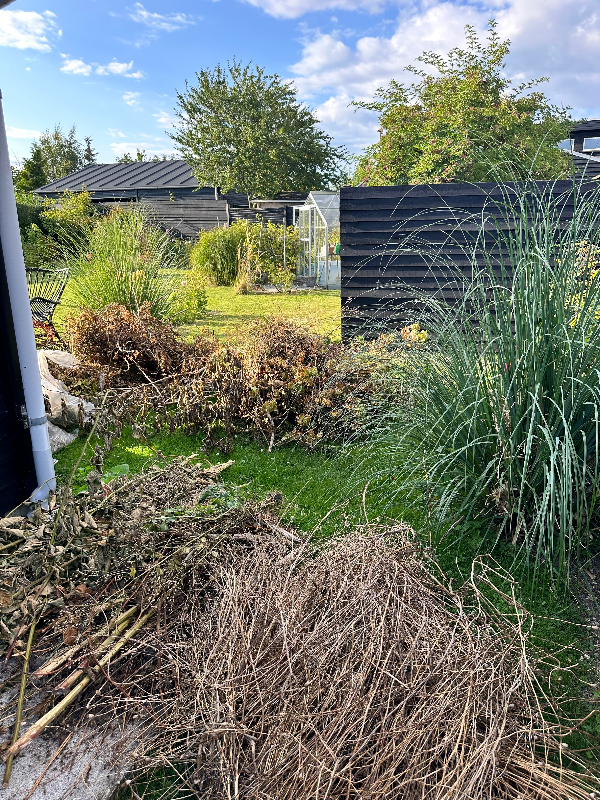 Haveaffald og storskrald