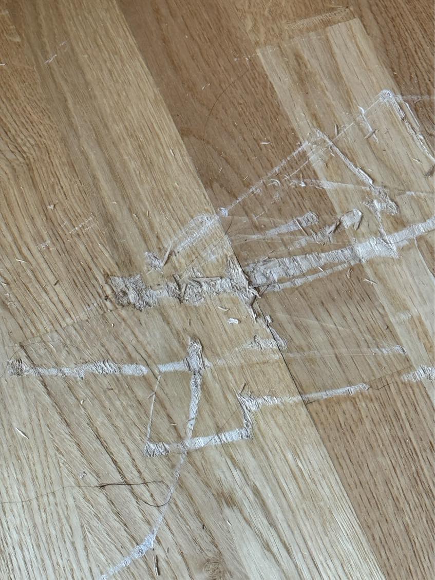 Can any one fix the floor.