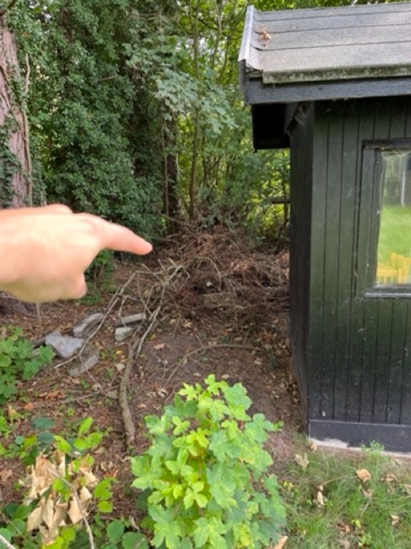 Klippe Græsplænen