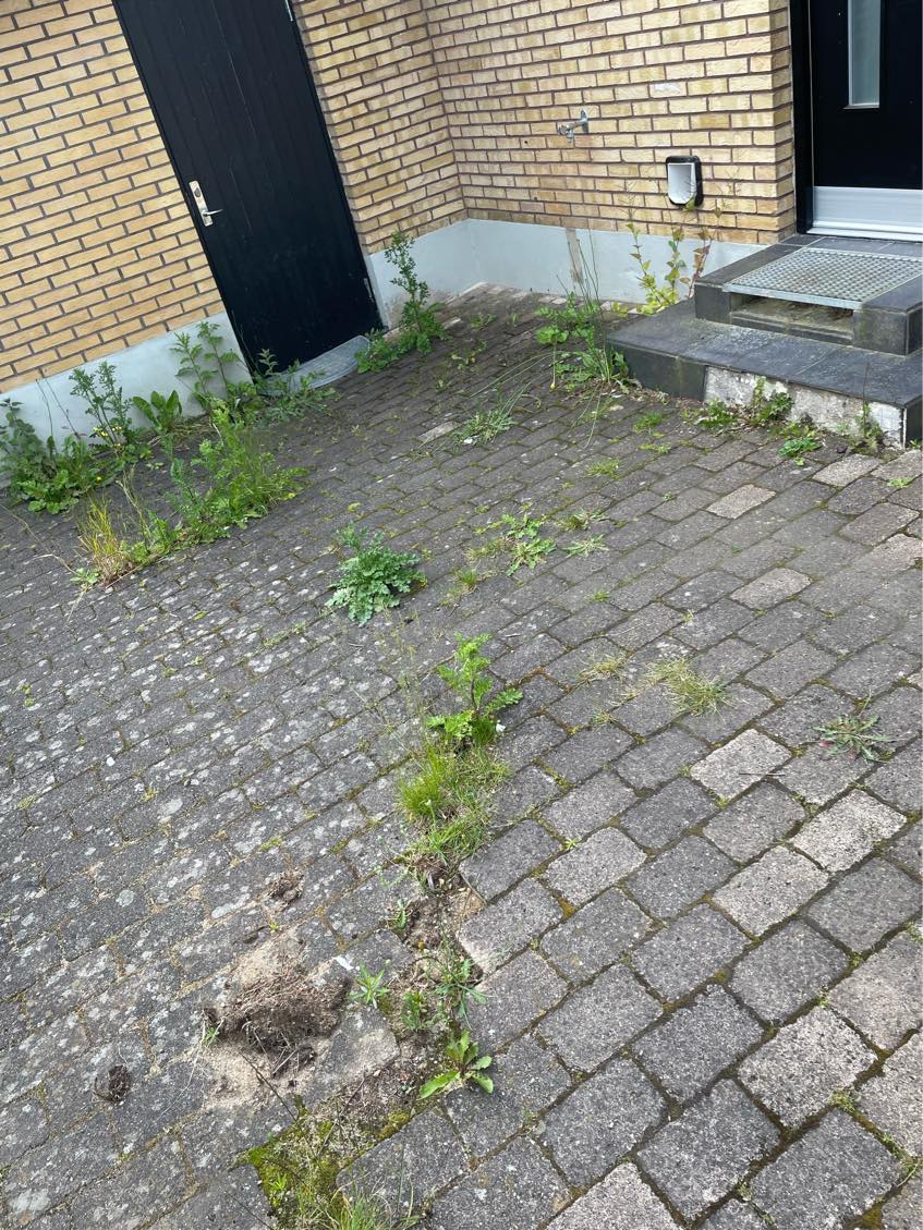 Hjælp til at fjerne ukrudt i indkørslen