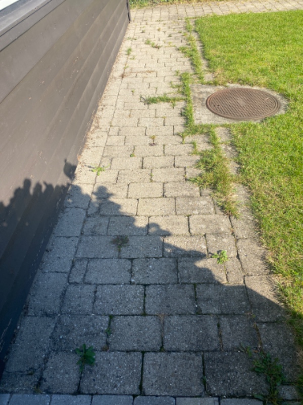 Fjerne ukrudt mellem fliser