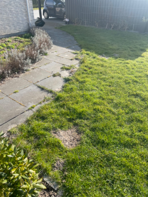 Lægge fliser som kant til bed