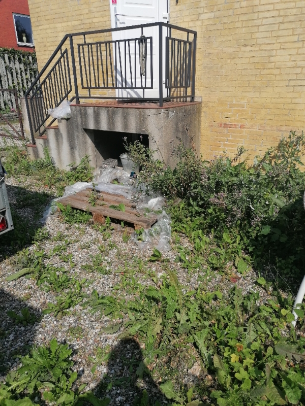 Klippe hæk og fjerne ukrudt