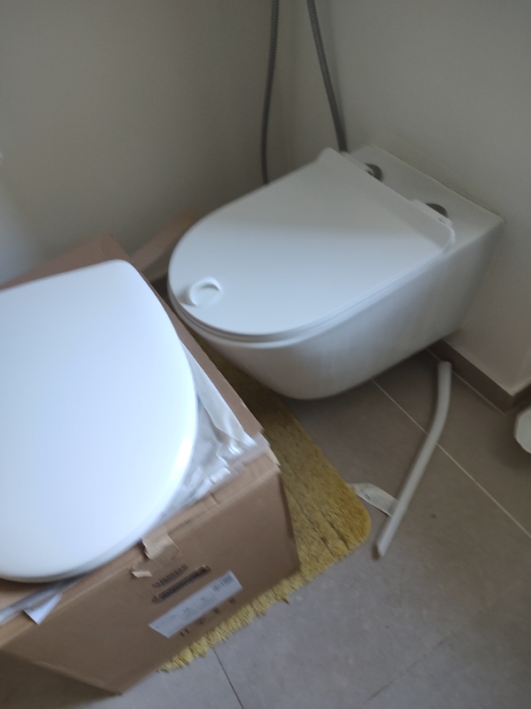 remove and install new wall mounted commode