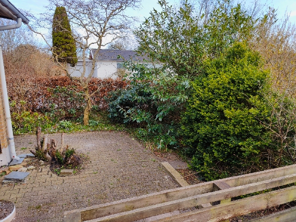 Græsplæneklipning og hæktrimning