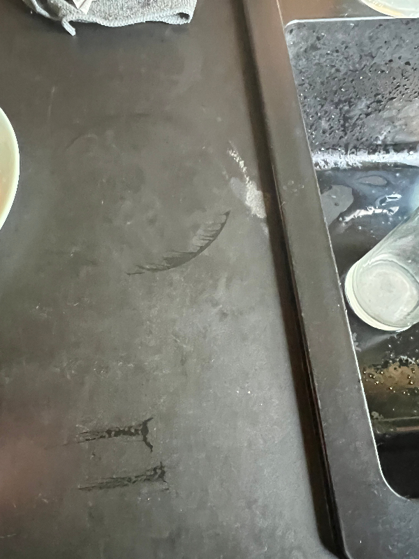 vores bordplade har områder, hvor maling/overflade er slidt