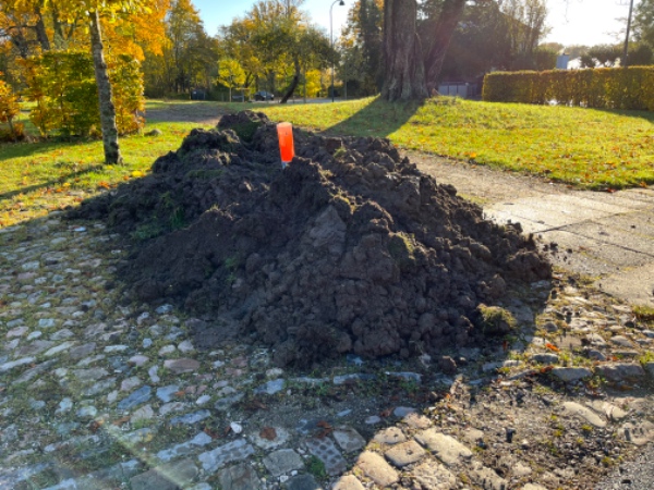 Bortkørsel af ca 12m3  jord. Noget med græs og noget kun jord. Noget blød pga regn