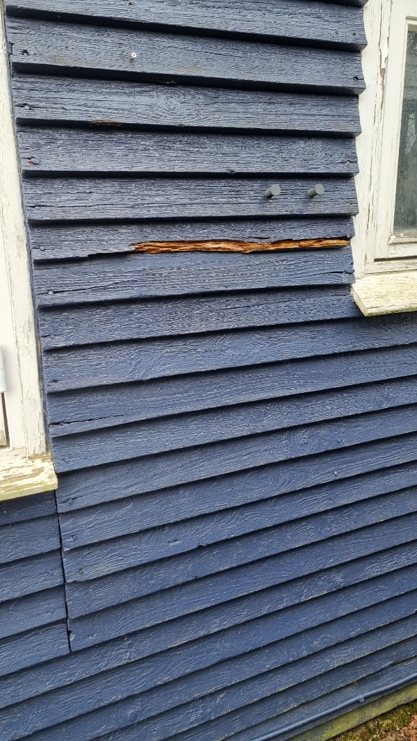 Vinduesudskiftning og bræddereparation