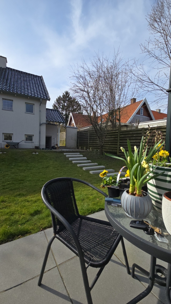 Udskiftning af sternbrædder