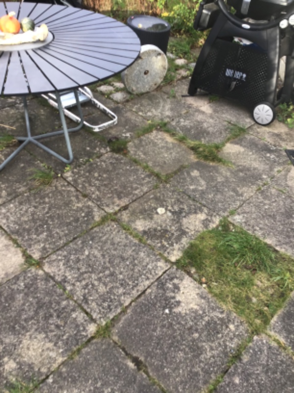 Fjernet ukrudt og bortkørsel