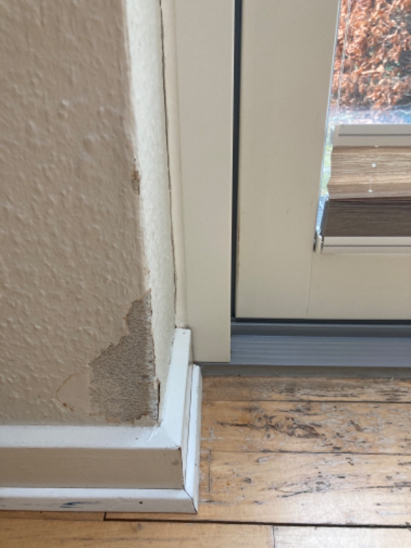 Skader fra dyr på tapet, små bilskader på tapet 3 steder